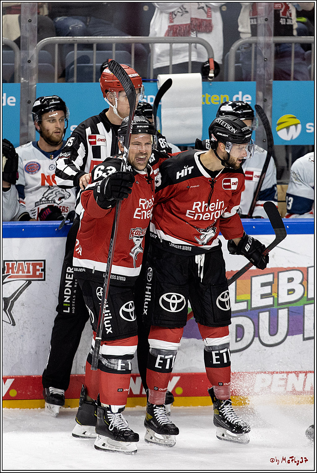 PENNY DEL;  Koelner Haie - Nuernberg Ice Tiger; Koeln, 21.09.2021